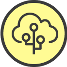 Servicios de Business<br>Intelligence Analyst