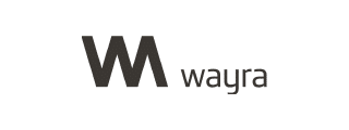 Codster Partners - Wayra